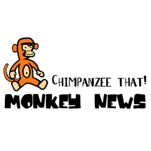 Chimpanzee That! Monkey News